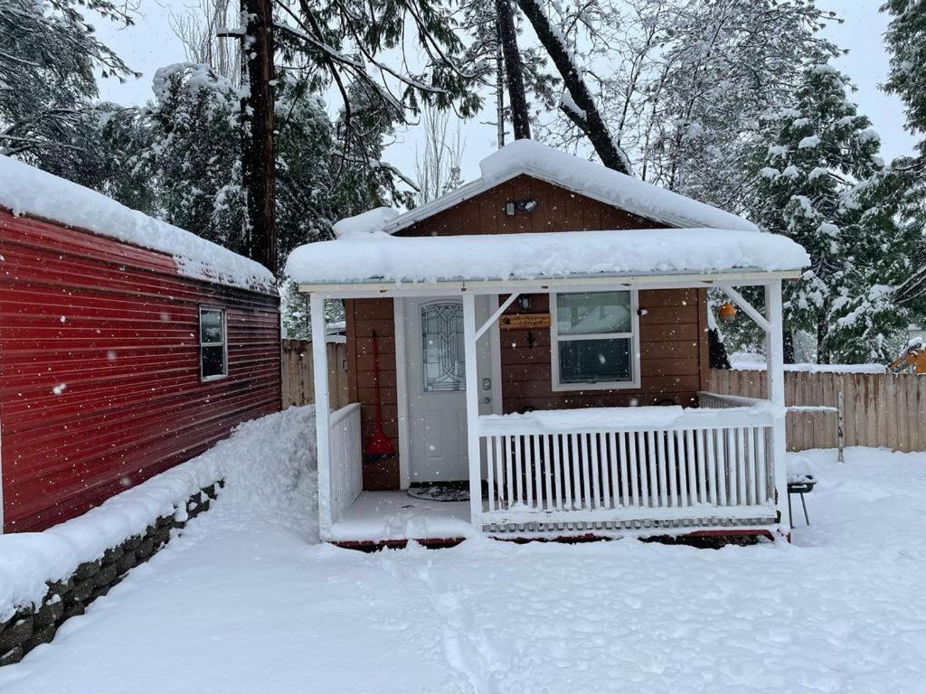 Acorn Cottage - Hidden Gem In Green Heaven, Getaway To Bass Lake & Yosemite 오크허스트 외부 사진